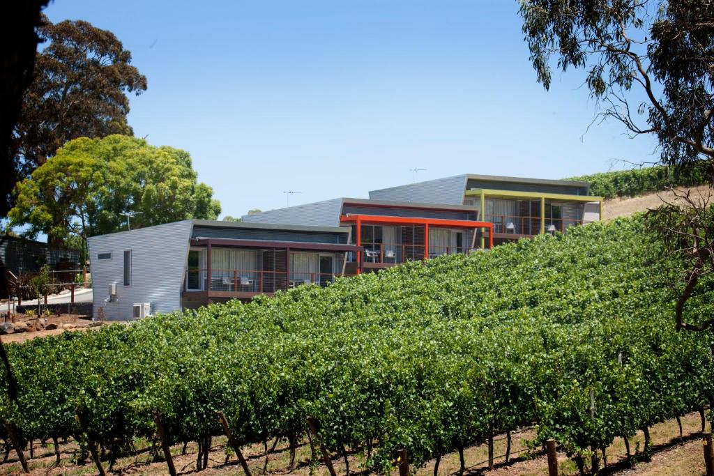 Longview Vineyard photo