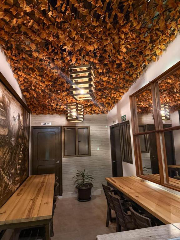 Hotel soy caribe Nicolas de Federman Bogotá - 3