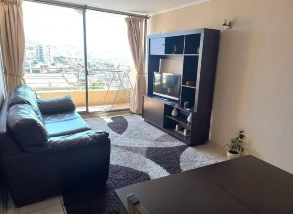 Gran Departamento, Full amoblado - 1