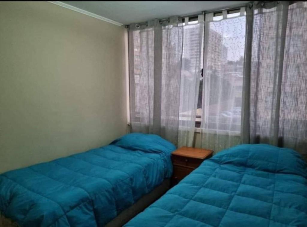 Gran Departamento, Full amoblado - 5