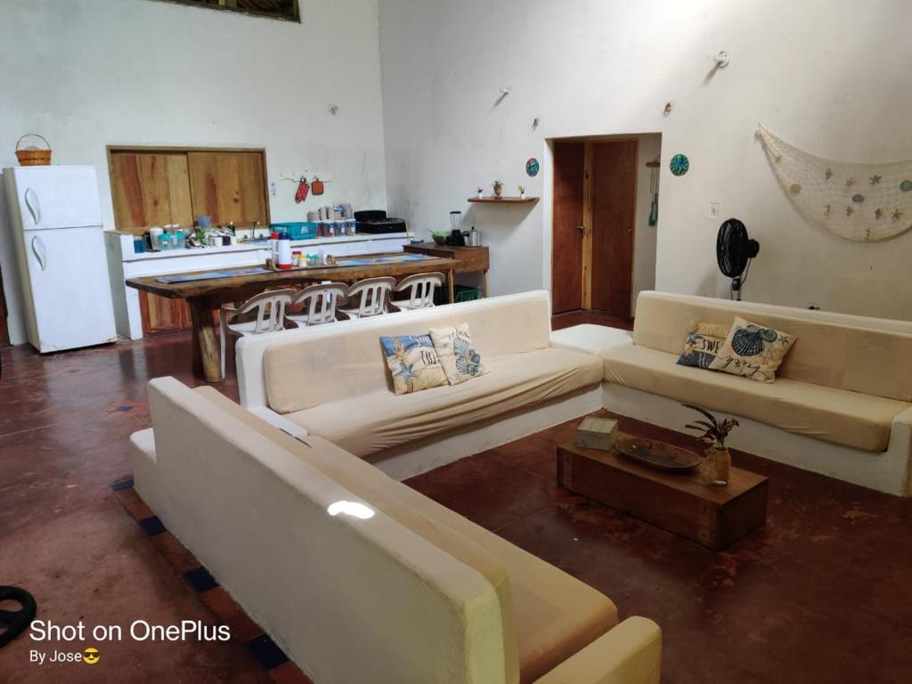 La Coralina azul - 2