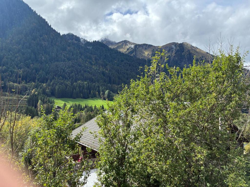 Chalet Papillon - 5