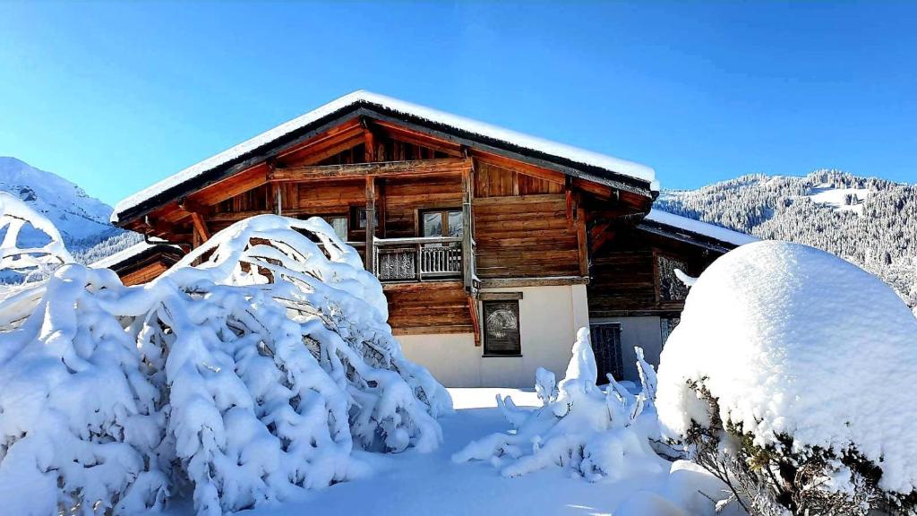 Chalet du Lay Côte 2000 ski in ski out - 3