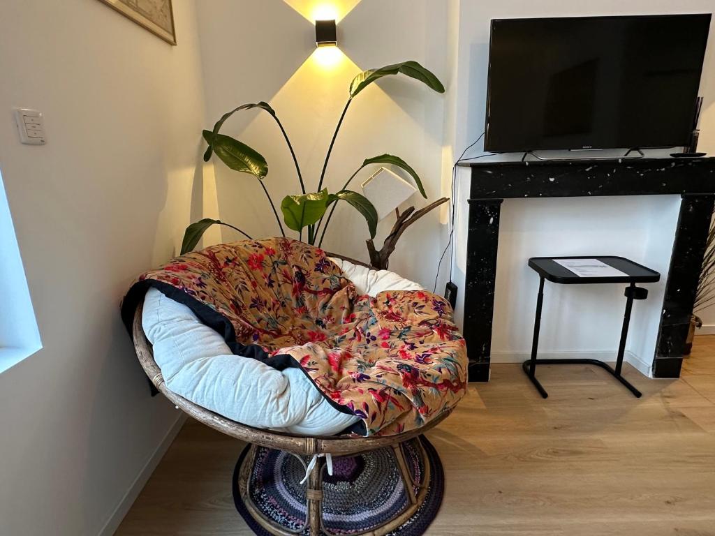 Appartement standing 500m de la plage ! - 5