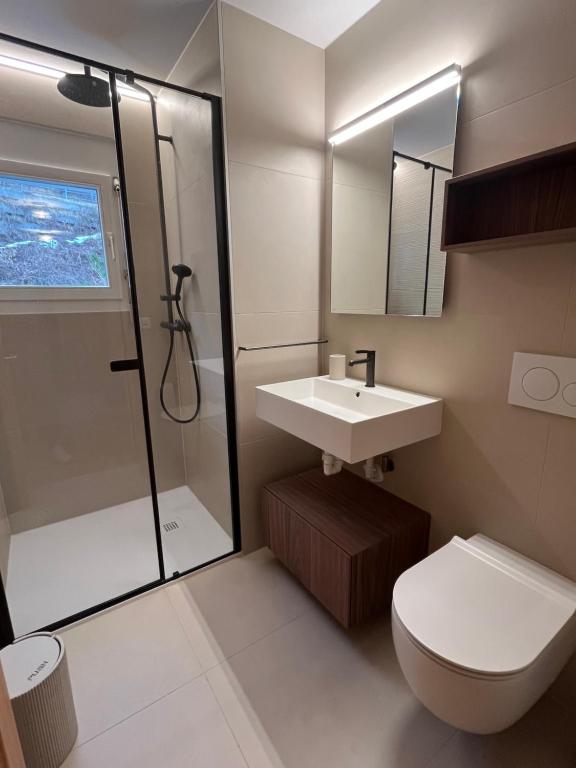 Renovated-Spacious apartment up to 6 people in Flims - 4