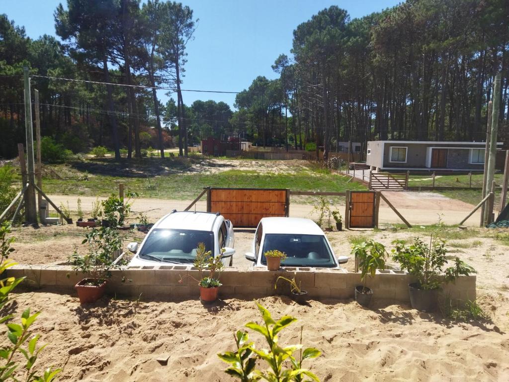 Casa Chihuahua - 4