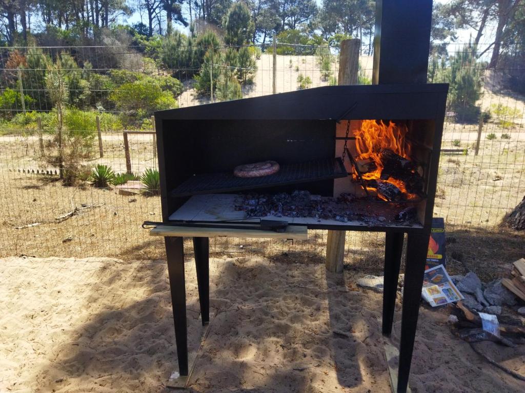 Casa Chihuahua - 5