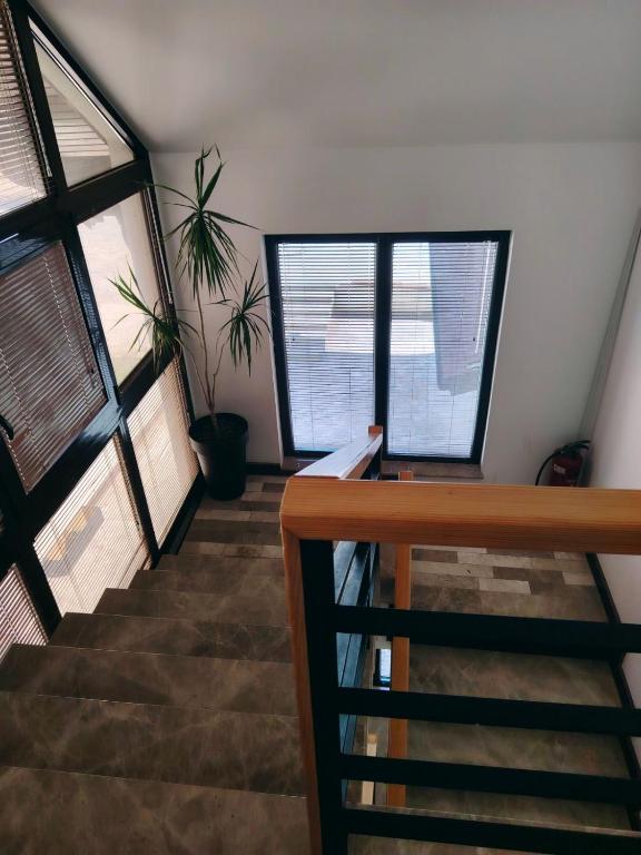 Apartman Aleksandra Zlatibor Zlatiborski Andjeo - 2