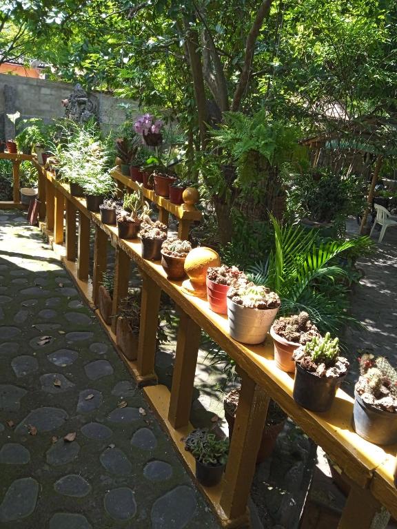 hostal el gato - 3