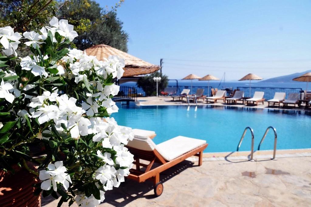 Omar Hotel & Suites photo
