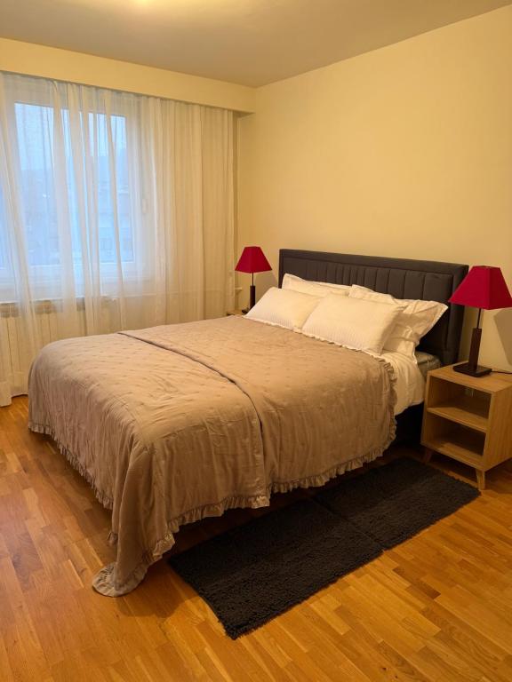 Apartman Lav Loris - 5