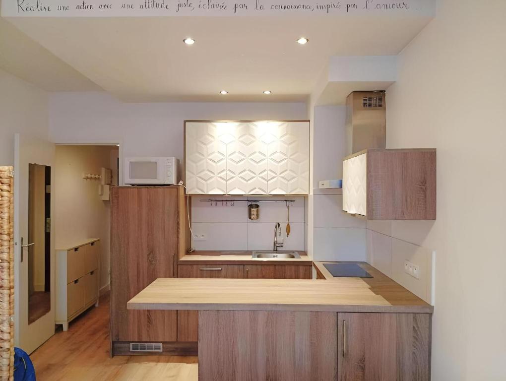 studio centre paris 15e near montparnasse - 2