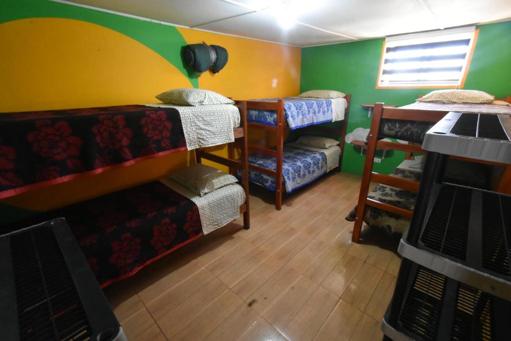 La Casa EcoExplor - 4