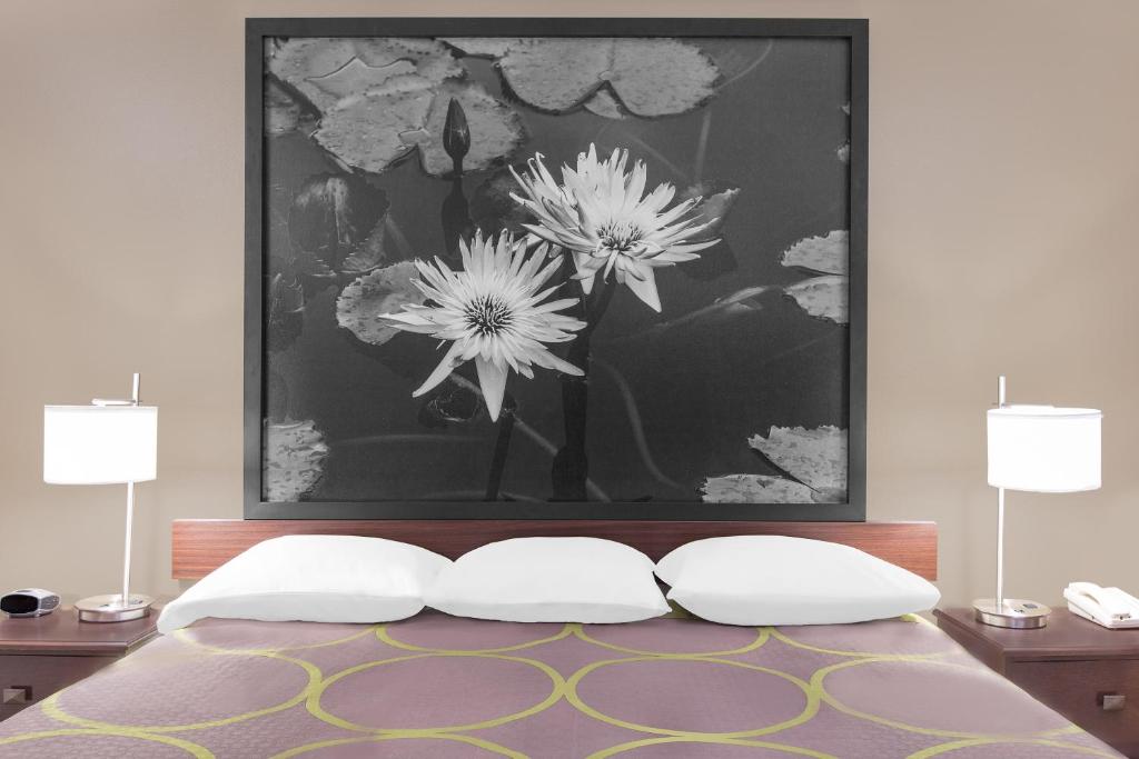 Super 8 By Wyndham Bay St. Louis Photo 18