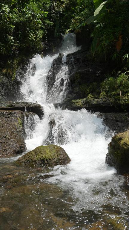 Surrounding environment