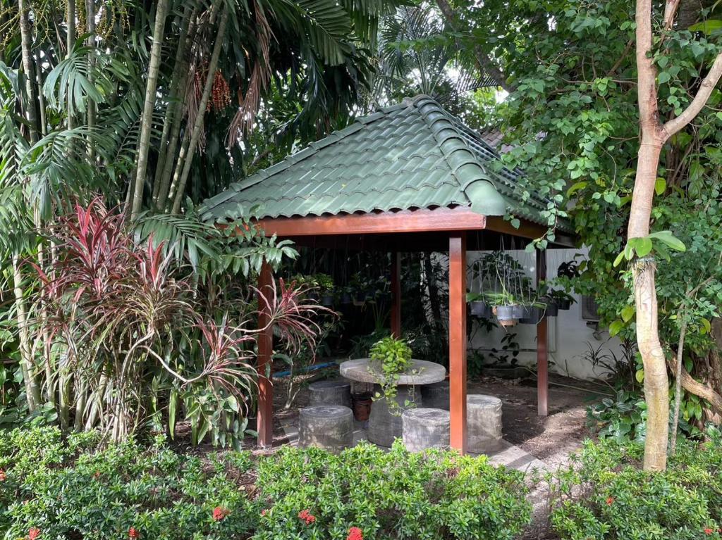 Surrounding environment