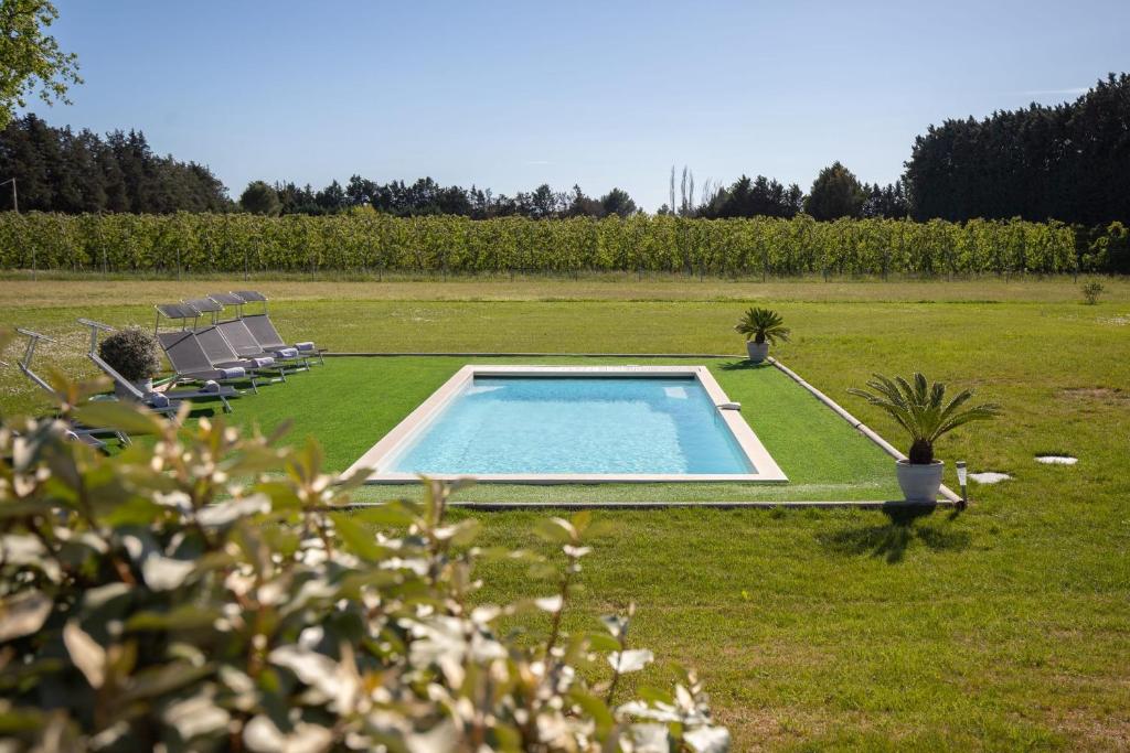 Maison contemporaine - grand jardin et piscine privée - 2