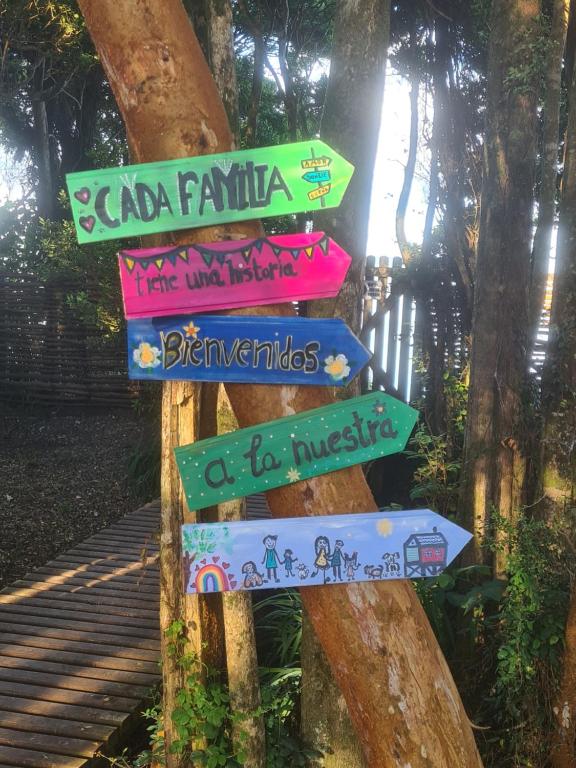 Cabañas Torre Huillinco - 5