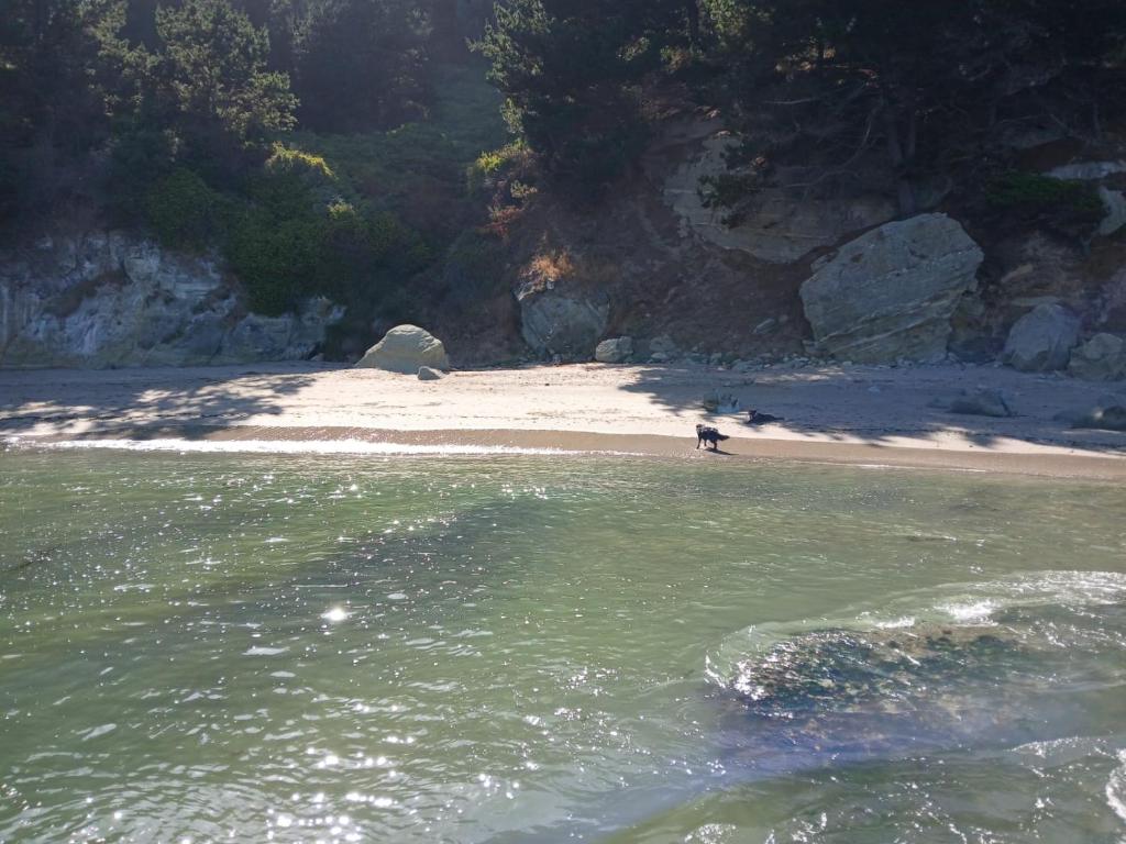 departamento cocholgue Tomé concepción - 2