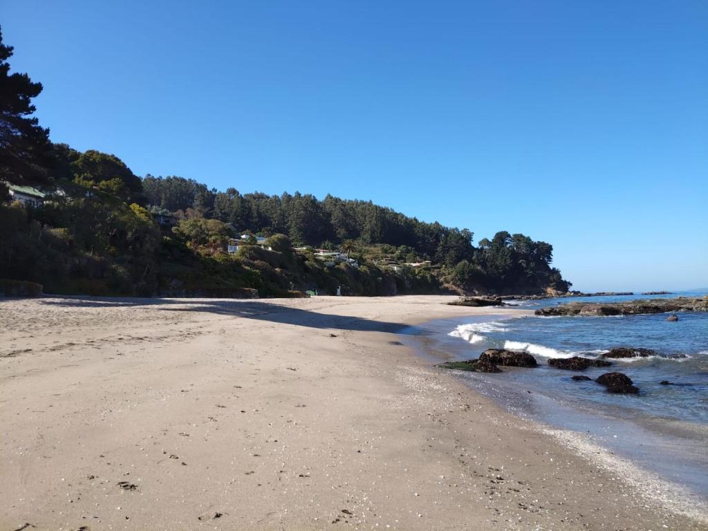 departamento cocholgue Tomé concepción - 5