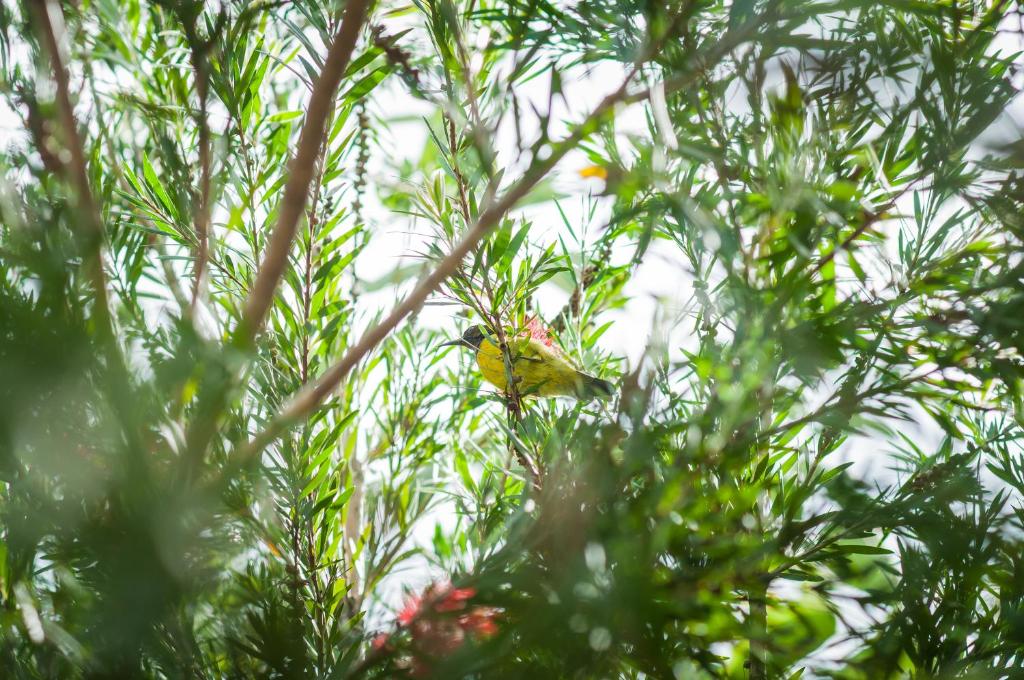 Surrounding environment