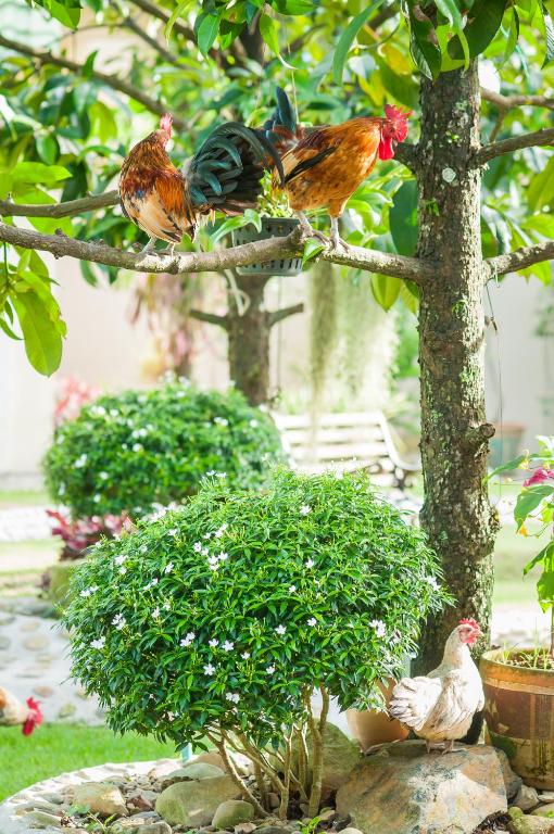 Surrounding environment