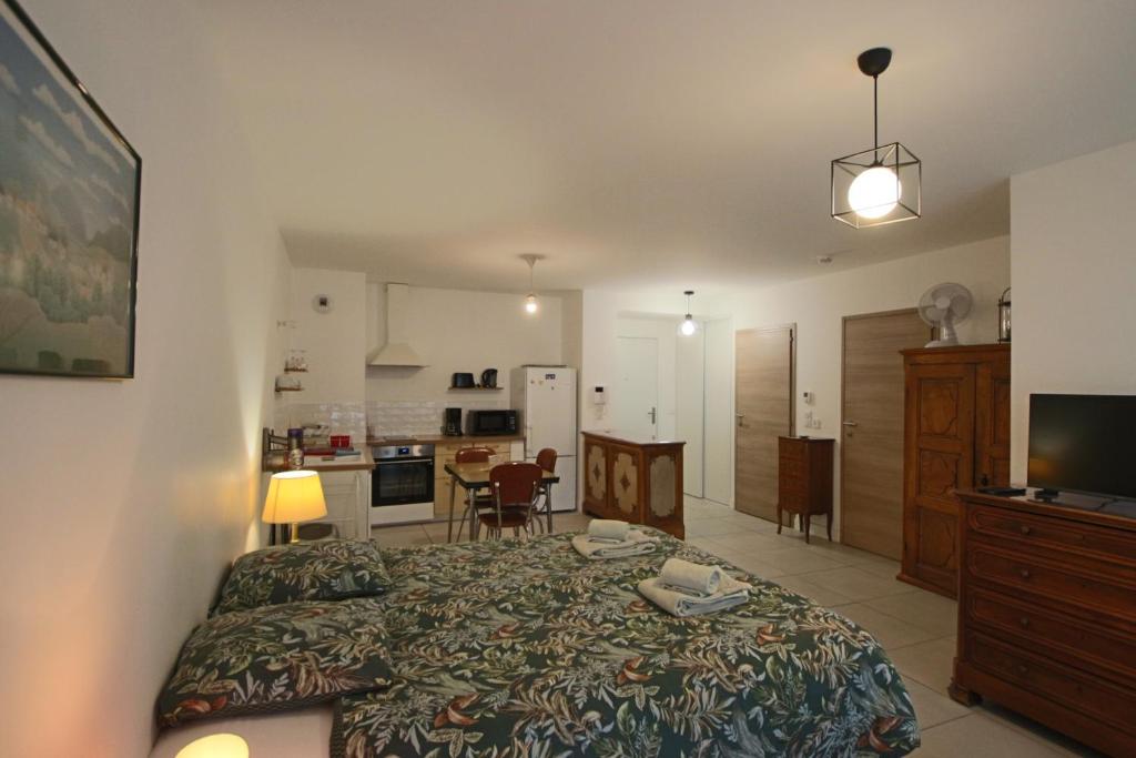 Studio 38m2 le Grand Angle, centre-ville, parking et terrasse - 3