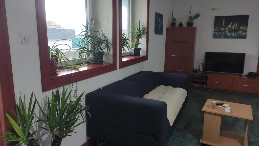 Woodpecker Backpacker Hostel - 5