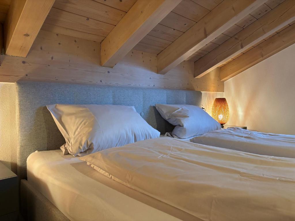 Chesa Piz mit privater Sauna - 3