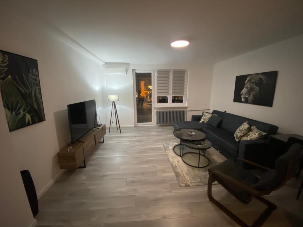 Apartament in Novi Sad - 2
