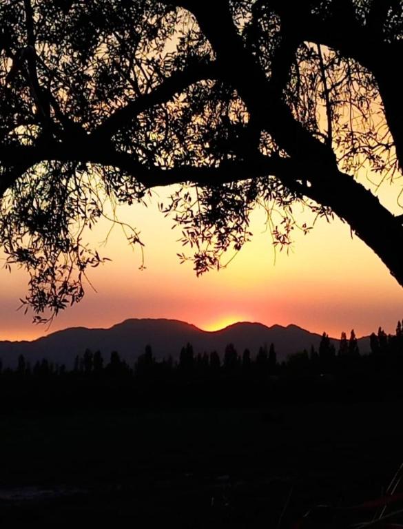 Mi Finca Los Ciruelos - 2