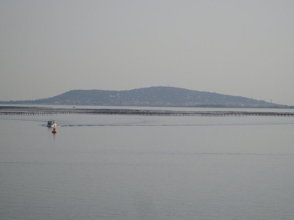 Port rive gauche Iona - 5