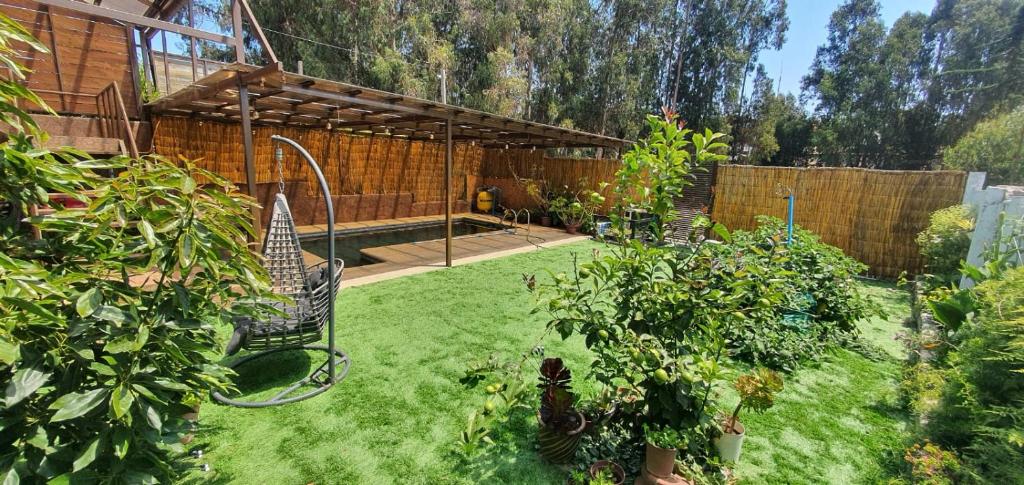 Casa las conchitas - 4