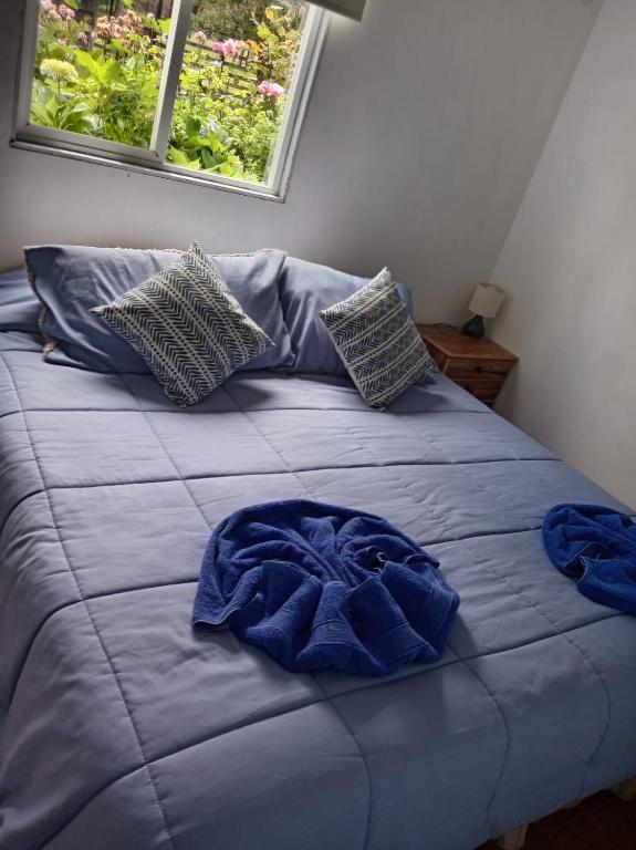 Cabañas ElyB - 4