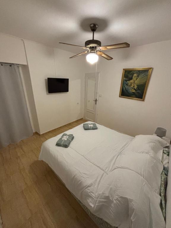 Apartment in center of Alicante - 5