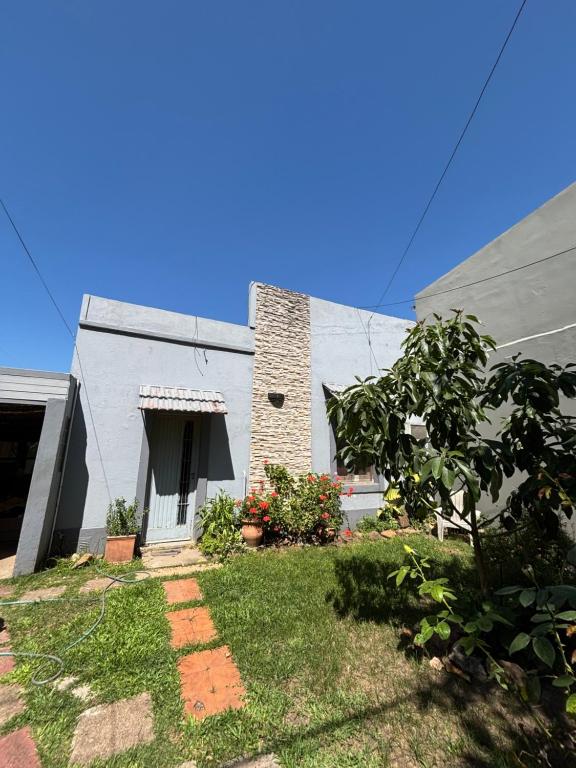 Pochito - 1
