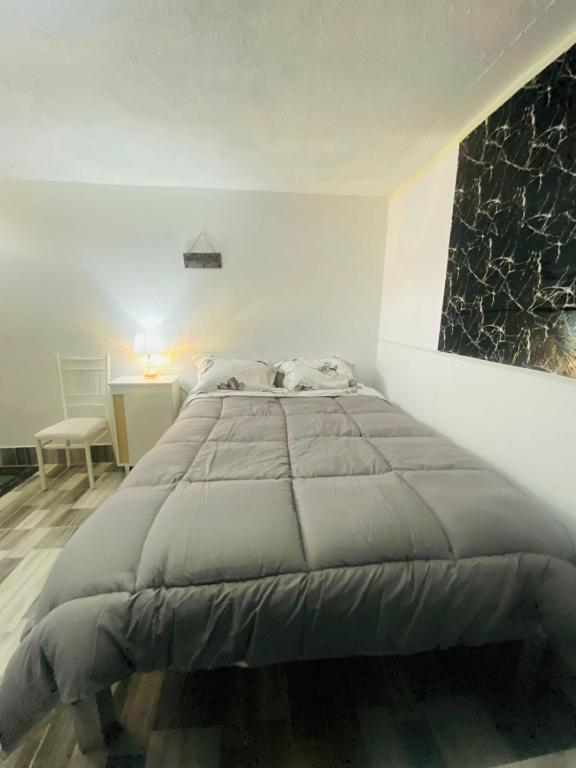 Habitación Privada con Baño Privado Cama Doble - 2