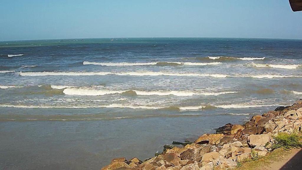 Libertad, Paz, Armonia - 4