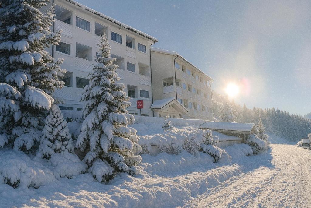 Grifone Dolomiti Resort - 3