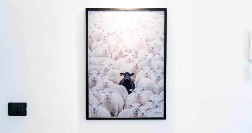 The Black Sheep, Airco - No Lift - 2