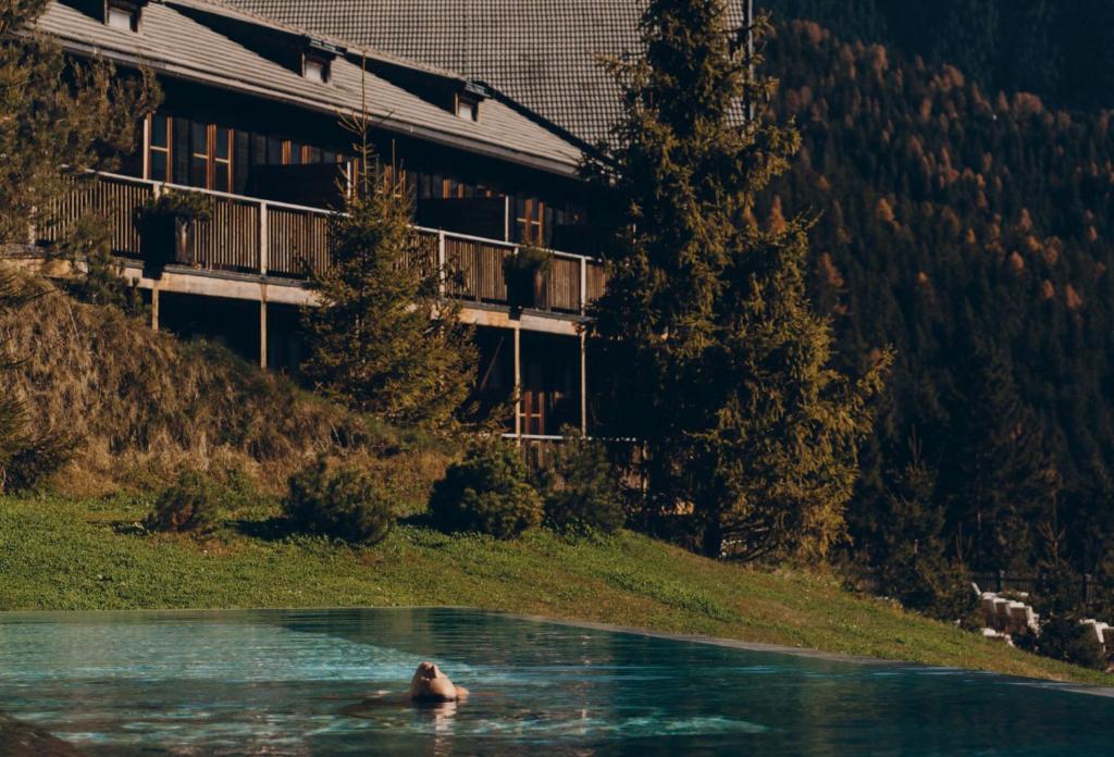 Forestis Dolomites - 3