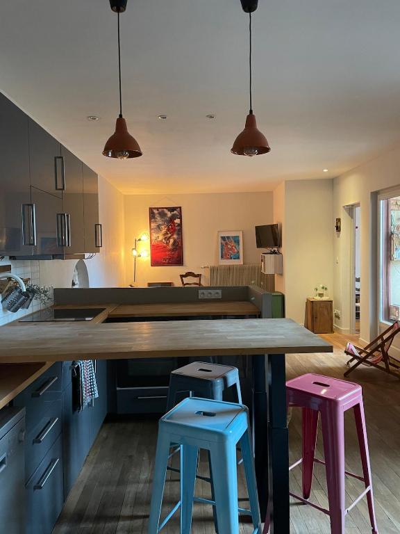 Appartement bucolique - Cœur historique Dijon - 1