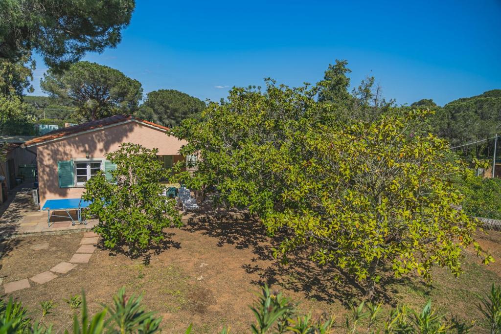 Villa Capo Perla - Goelba - 2