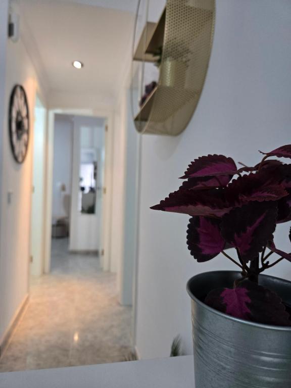 Discover the oasis of relaxation at Casa Fabio - 4