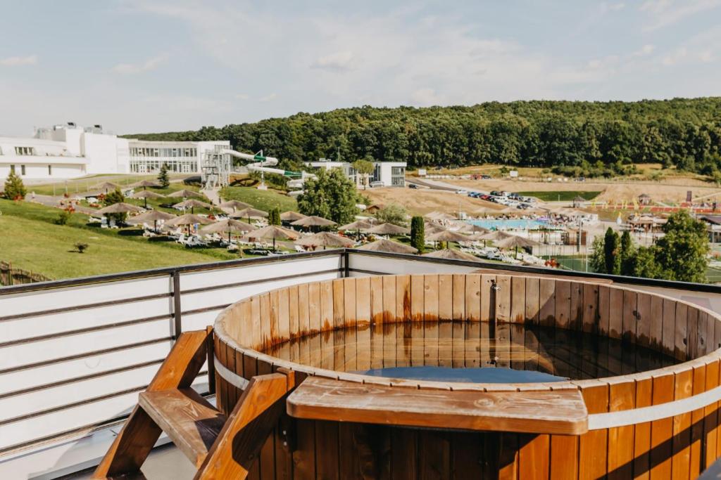 Baile Figa-Terasa Spa Cazare