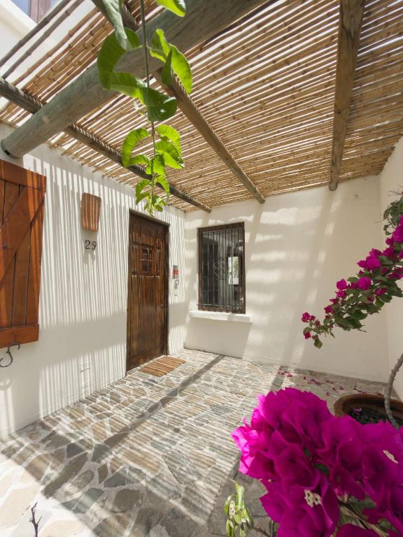 Casapueblo Rent Cachagua CP 29 - 1