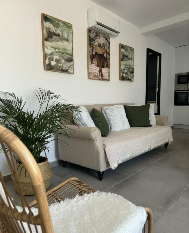 Apartamentos Muñoz Fornell 1 - 1