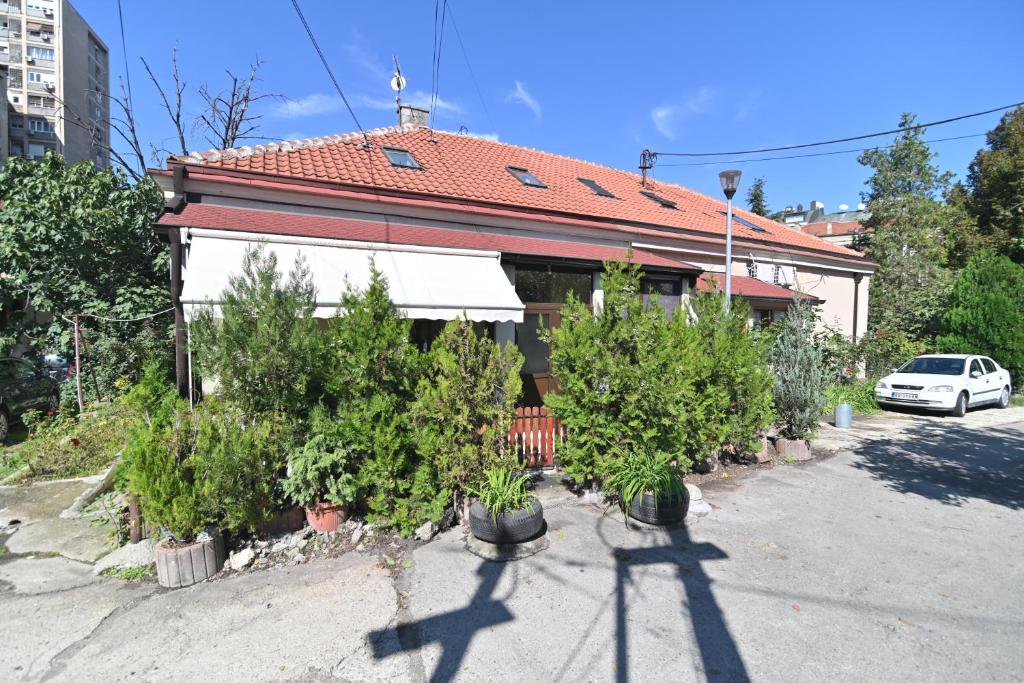 Botanical Hideout - Near City Center & Free Parking - 5