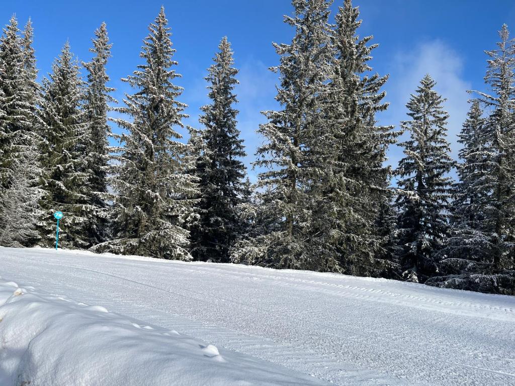 MONTANA - 1