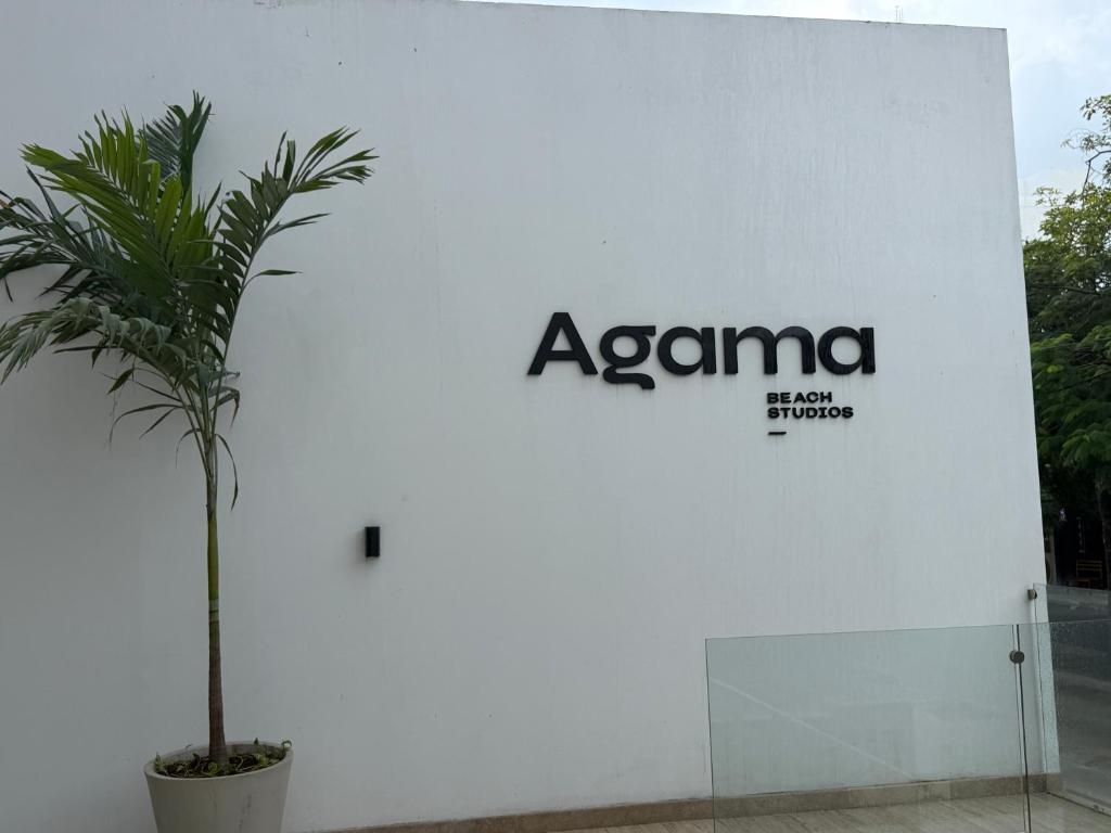 Studio de luxe Agama 206 - 2